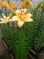 [5093 Menorca No02.JPG]